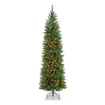 National Tree Company 7 Ft Pre-lit Kingswood Fir Slim Feet, Green. Fixed Price $98.77.