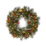 National Tree Wintery Pine Wreath, 24 In, Green. Fixed Price $32.39.