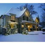 Holiday Time 100-COUNT Random Twinkle Mini Led Multicolor Icicle String Lights. Fixed Price $14.89.