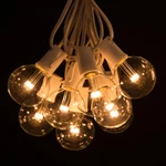 Led G50 Warm White String Lights Set For Outdoor Indoor Patio Deck Wire. Fixed Price $54.95.