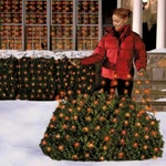Celebrations 40802-71 X 6 Ft. 100 Red Led Net Light Set Buy More & Save 10%. Fixed Price $23.91.