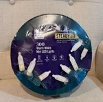 Home Accents Holiday 300 Warm White Mini Led Lights 86FT Steady Lit Christmas. Fixed Price $26.99.