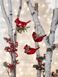 Ganz H2 Kissing Krystals Mistletoe Teeny Cardinal 3IN Ornament KK383 Choose. Fixed Price $14.99.
