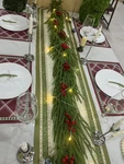 Led Christmas Norfolk Pine Garland Artificial Real Touch Battery Operate. Fixed Price $20.80.