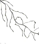 Kurt Adler 6' Brown Twig Garland 64 Warm White Led Twinkle Lights Indoor/outdoor. Fixed Price $34.99.