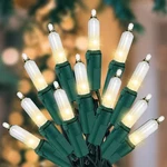 Christmas Lights For Tree 20FT 100 Count Mini Green Wire Tre.... Fixed Price $18.42.