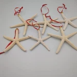 6 Natural Starfish Ornaments Coastal Beach Christmas Tree Holiday Decor Set. Fixed Price $15.25.