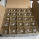 Celebrations 25 Count G40 Led Crystal Look Replacement Bulbs - Cool White. Fixed Price $20.00.