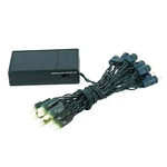 20 Light Led Battery Christmas Mini Set, Green Wire, 7' Long. Fixed Price $13.34.