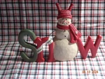 New Blossom Bucket Message Block With Christmas Snowman # 228-13554. Fixed Price $16.00.