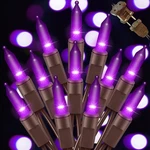 Home Accent Holidays 100 Purple Led Mini String Lights Halloween. Fixed Price $59.99.