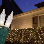 Christmas Net Lights Indoor Outdoor Holiday Home Mesh 150 Clear Multi. Fixed Price $34.99.