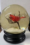 Raz Winter Red Bird Cardinal Branch Snow Globe Black Base. Fixed Price $24.99.