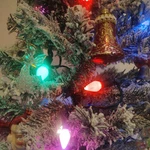 Case Of 7- Vickerman Commercial Grade 25 Led C7 Christmas Lights 175. Fixed Price $31.43.