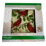 Pfaltzgraff 3 Cardinal 15 Inch Square Glass Platter Food Safe Holiday - Unique. Fixed Price $24.99.