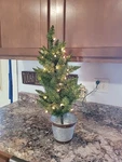 Nearly Natural 2FT Providence Pine Christmas Tree Planter W/ 35 Lights. Fixed Price $23.38.