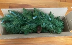Brookstone 3 Ft Holiday Pinecones Garland Led Lights W/timer Nib Warm White. Fixed Price $20.99.