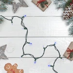 Northlight 100 Blue & Pure White Led Mini Christmas Lights 4" Spacing Green Wire. Fixed Price $22.49.
