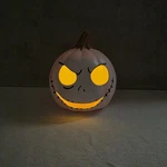 Disney Seasons Jack Skellington Light Up Pumpkin Nightmare Before Christmas. Fixed Price $9.98.