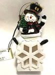 Chicago Blackhawks Snowman Led Light Up Snowflake Ornament 5 Evergreen Nhl. Fixed Price $7.49.