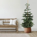 Northlight 9' Layered Noble Fir Artificial Christmas Tree - Unlit. Fixed Price $486.49.