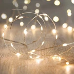 Fairy String Lights, 10FT/3M 30LEDS Firefly Garden Home Party. Fixed Price $15.32.