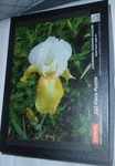 Amazing Photo Real Iris Puzzles Welcome My Garden Enjoy Even The Winter. Fixed Price $10.00.