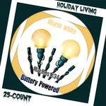 25 Multi Function Led Christmas String Lights Timer Warm White Glisten, Twinkle. Fixed Price $20.99.