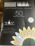 Christmas Lights Professional Grade 50 Count By Celebrations. Fixed Price $9.90.