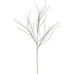 Northlight 36" Champagne Gold Glittered Christmas Twig Spray. Fixed Price $11.49.