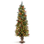 National Tree Company Pre-lit Artificial Entrance Christmas 5 Feet Green. Fixed Price $136.02.