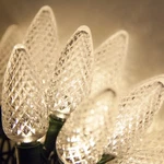 C9 Led Christmas Set Indoor Outdoor Home Holiday Party String Decor. Fixed Price $26.99.