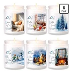 Winter Set 6 Pack Christmas Scented For Home - Holiday Soy.... Fixed Price $30.39.