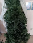 Wondershop 6FT Prelit Artificial Christmas Tree Alberta Spruce With Clear Light. Fixed Price $73.06.