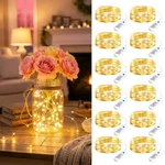 Minetom 12 Fairy Lights Battery Operated String Pack, Warm White. Fixed Price $14.99.