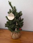 Mini Christmas Tree With Ornaments From Unknown - Holiday Decor (pvc, Burlap, Pl. Fixed Price $20.00.