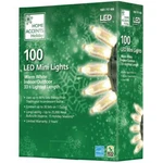Light Led Warm White Smooth Mini Constant Christmas L9100094WU01. Fixed Price $5.45.