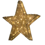 Holiday Bright 23 Inch Led 3D Micro Star Warm White Indoor Outdoor. Fixed Price $53.98.
