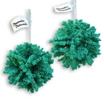 December Diamonds 2019 Coral Ball Ornaments TEAL(2) 79-80615. Fixed Price $15.50.