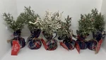 Lot Of 6 Christmas Tree Mini Tartan Plaid Wrapped Holiday Decor. Fixed Price $14.00.
