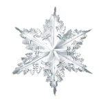 Beistle Silver Metallic Snowflake - Christmas/winter Party Supply. Fixed Price $13.25.