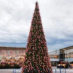 Northlight 16.5' Everest Fir Tower Christmas Tree - Warm White C7 Led Lights. Fixed Price $10010.49.
