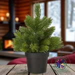 Ikea Vinterfint Small Artificial Tree 9 " Height 3 Pot Green Holiday Dec. Fixed Price $14.97.