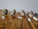 Lot Of 4 Owls Midwest Ganz Glittered 3" Christmas Tree Ornament. Fixed Price $12.99.