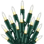 Tw Shine Warm White Christmas Lights Outdoor, 20FT 100 Feet,. Fixed Price $19.36.
