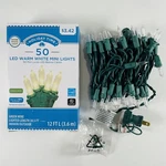 Holiday Time 50 Led Warm White Mini Lights Green Wire Length 12FT Indoor/outdoor. Fixed Price $6.07.