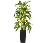 Novaroot 5FT Artificial Dracaena Tree Faux Yucca Tropical Plant In Black Pot. Fixed Price $37.97.