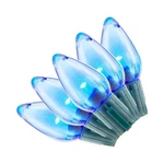 Home Accents Holiday 25 Blue Super Brite Steady Lit C9 Led Lights 16 Ft. Fixed Price $21.99.