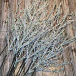 Frozen Branch Picks Set Of 12 Christmas Tree Decoration, Balsam Hill. Fixed Price $198.00.