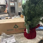 National Tree Company 3 Ft Pre-lit Mini Artificial Christmas Red Velvet Sta. Fixed Price $49.99.